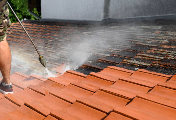 Best Local Pressure Washing Services  in Crosby, TX