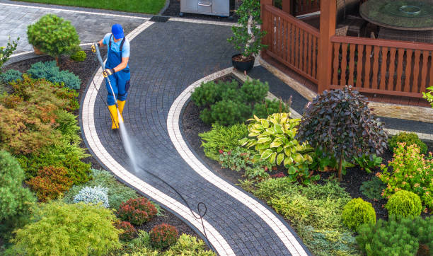 Best Pressure Washing Services Near Me  in Crosby, TX
